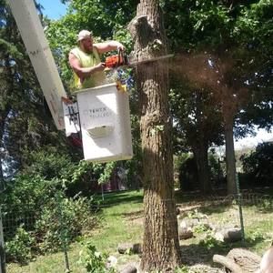 Meet your Posher, Tadan